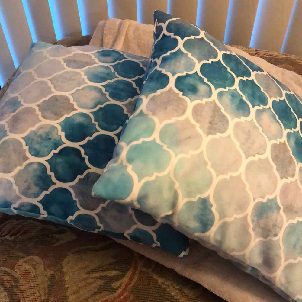 Decorative Pillow covers (2)